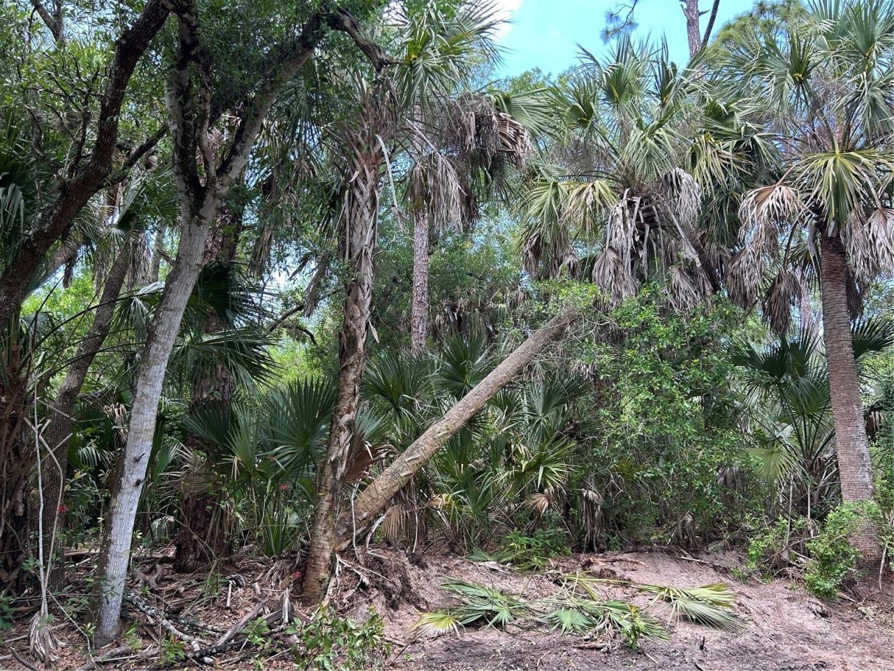 7022 Riverside Drive, Punta Gorda, FL 33982 Photo