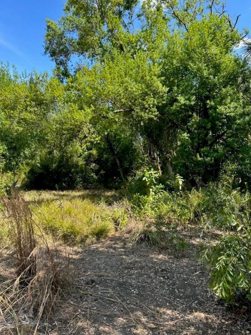7022 Riverside Drive, Punta Gorda, FL 33982 Photo