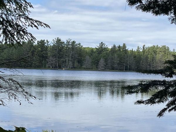 000 W Chesbrough Lake Road, Newberry, MI 49868