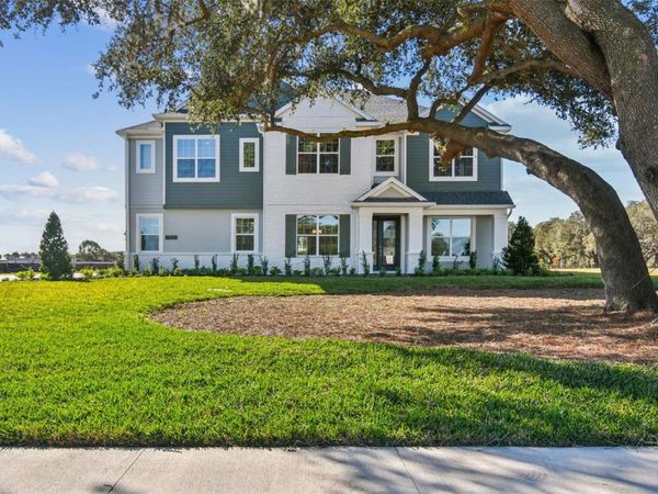 17030 OVERSTORY DRIVE, ORLANDO, FL 32820