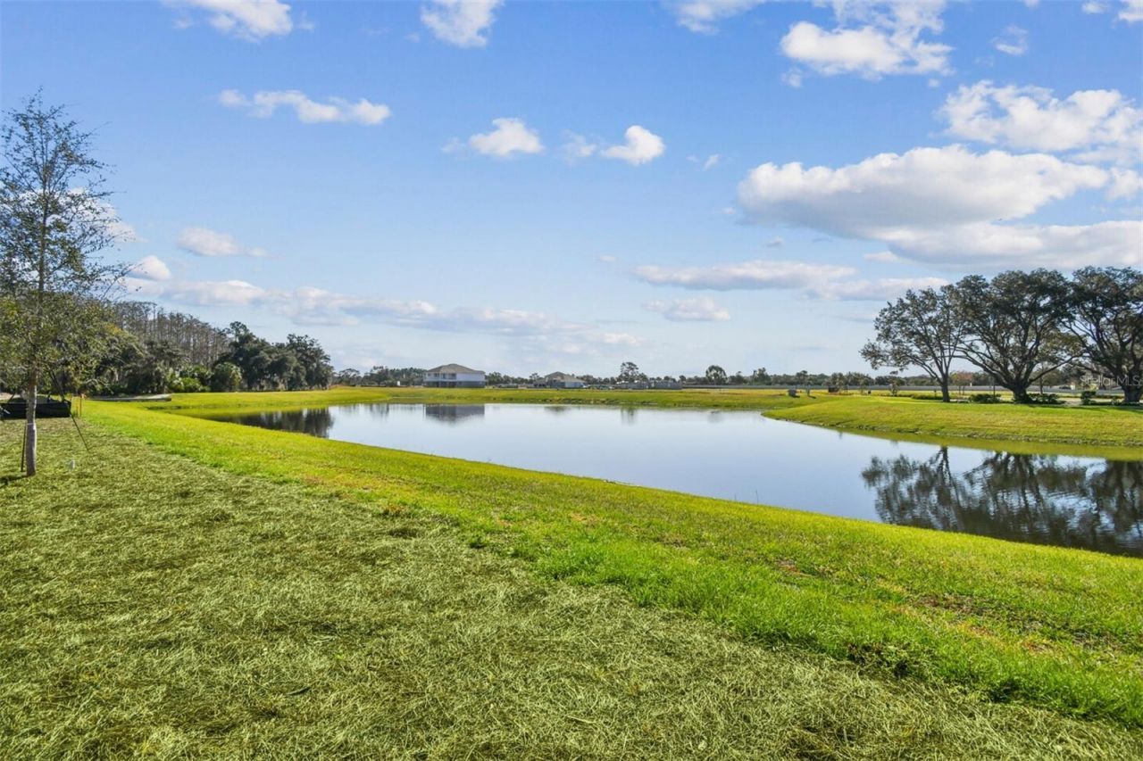 17030 Overstory Drive, Orlando, FL 32820 Photo