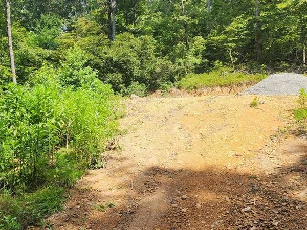 418 Shady Grove Rd, Holladay, TN 38341