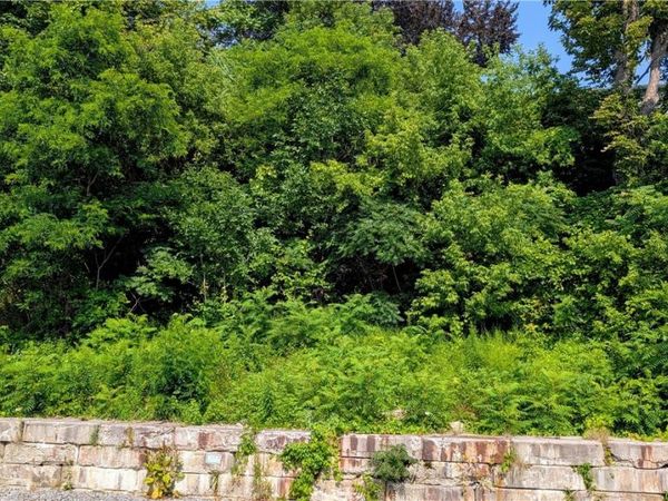 Water Street, Youngstown, NY 14174