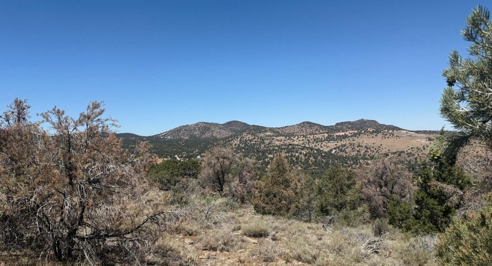 3960 Stovepipe Road, Lot #396, Reno, NV 89521 Photo