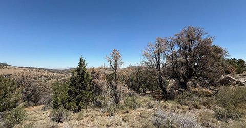3960 Stovepipe Road, Lot #396, Reno, NV 89521 Photo