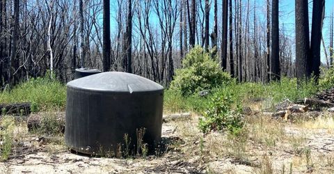 35 Bromilow Ln, Berry Creek, CA 95916 Photo