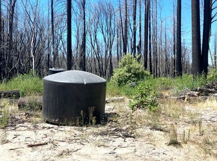 35 Bromilow Ln, Berry Creek, CA 95916 Photo