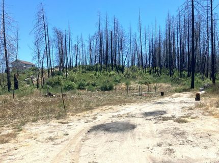 35 Bromilow Ln, Berry Creek, CA 95916 Photo