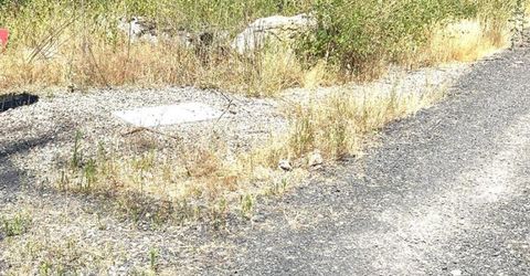 35 Bromilow Ln, Berry Creek, CA 95916 Photo