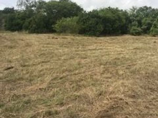 2220 Calle Estrella, San Antonio, TX 78226