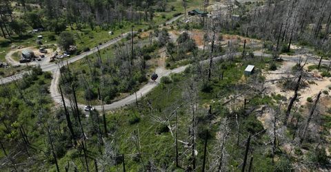 15 Squirrel, Berry Creek, CA 95916 Photo