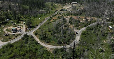 15 Squirrel, Berry Creek, CA 95916 Photo