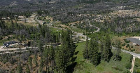 15 Squirrel, Berry Creek, CA 95916 Photo