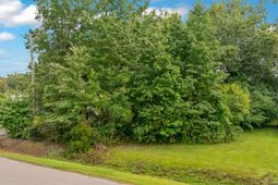 8 Clair Street photo 4