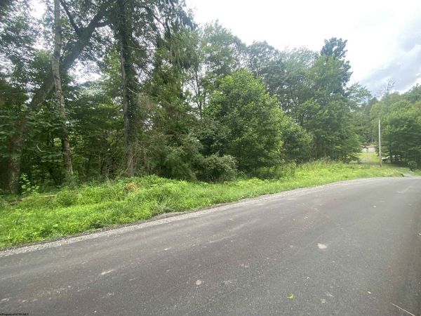 TBD Limestone Road, Parsons, WV 26287