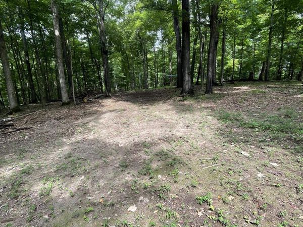 Lot 1 Moore Road, Lavalette, WV 25535