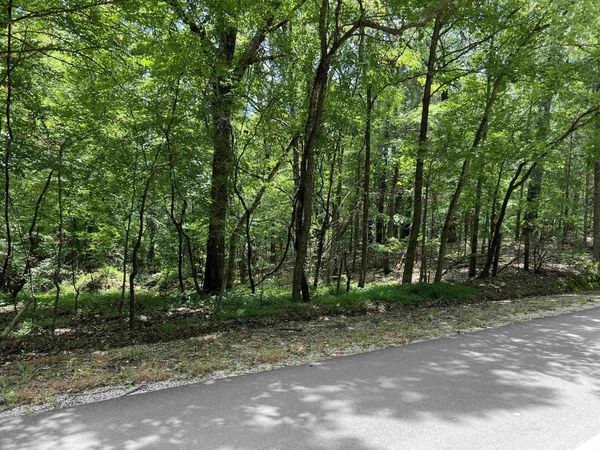 0 WILDCAT BOTTOM RD, Red Banks, MS 38661