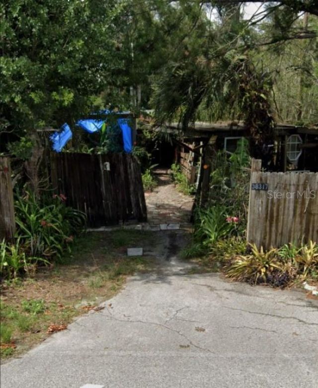 38317 Palm Grove Drive Zephyrhills - 1
