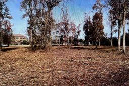 990 Robert M Grissom Pkwy. photo 4