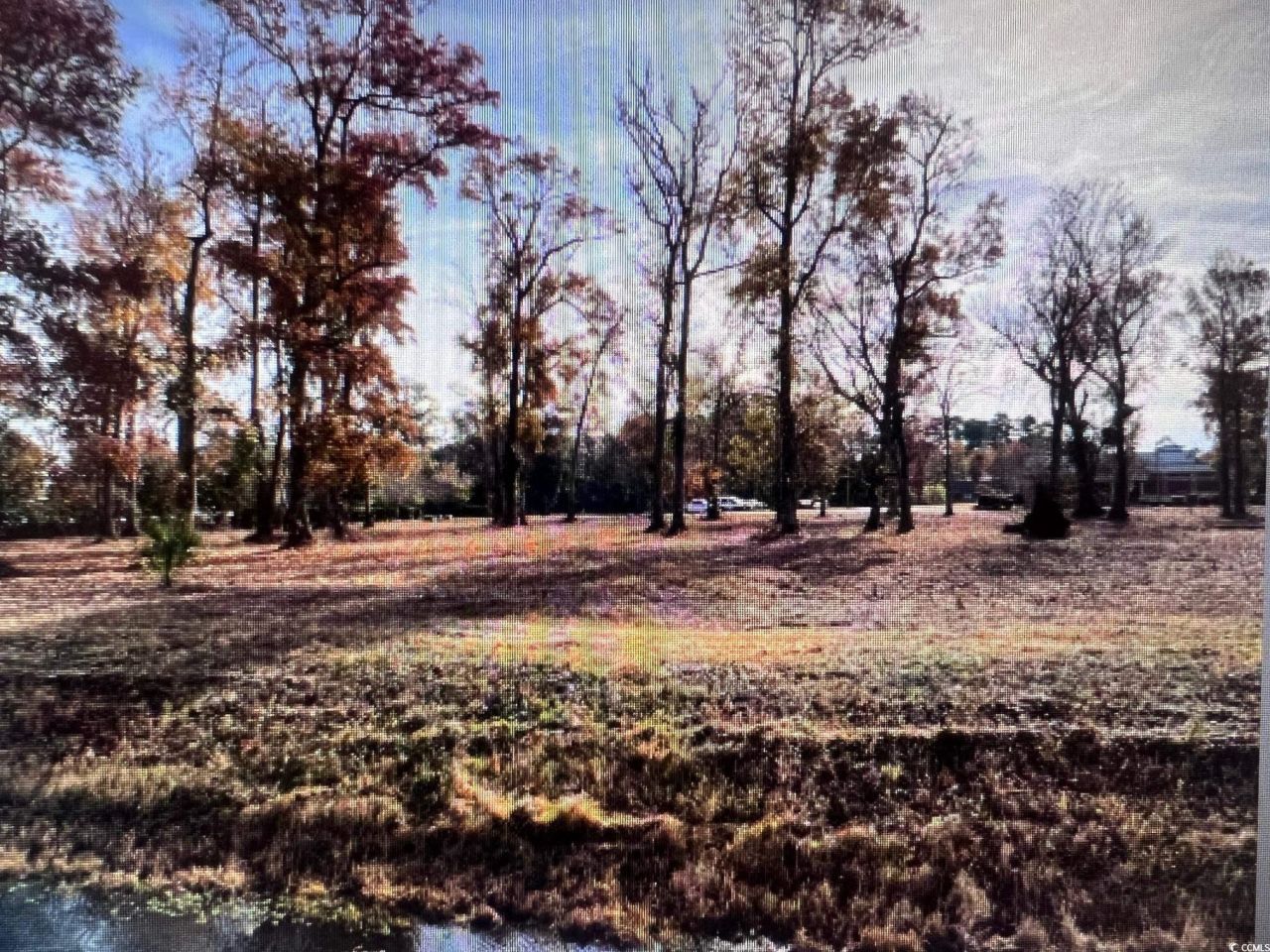 990 Robert M Grissom Pkwy. Photo 4