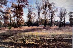 990 Robert M Grissom Pkwy. photo 4