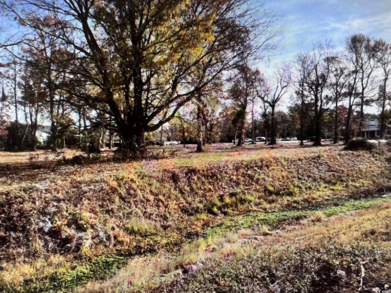 990 Robert M Grissom Pkwy. Photo 5