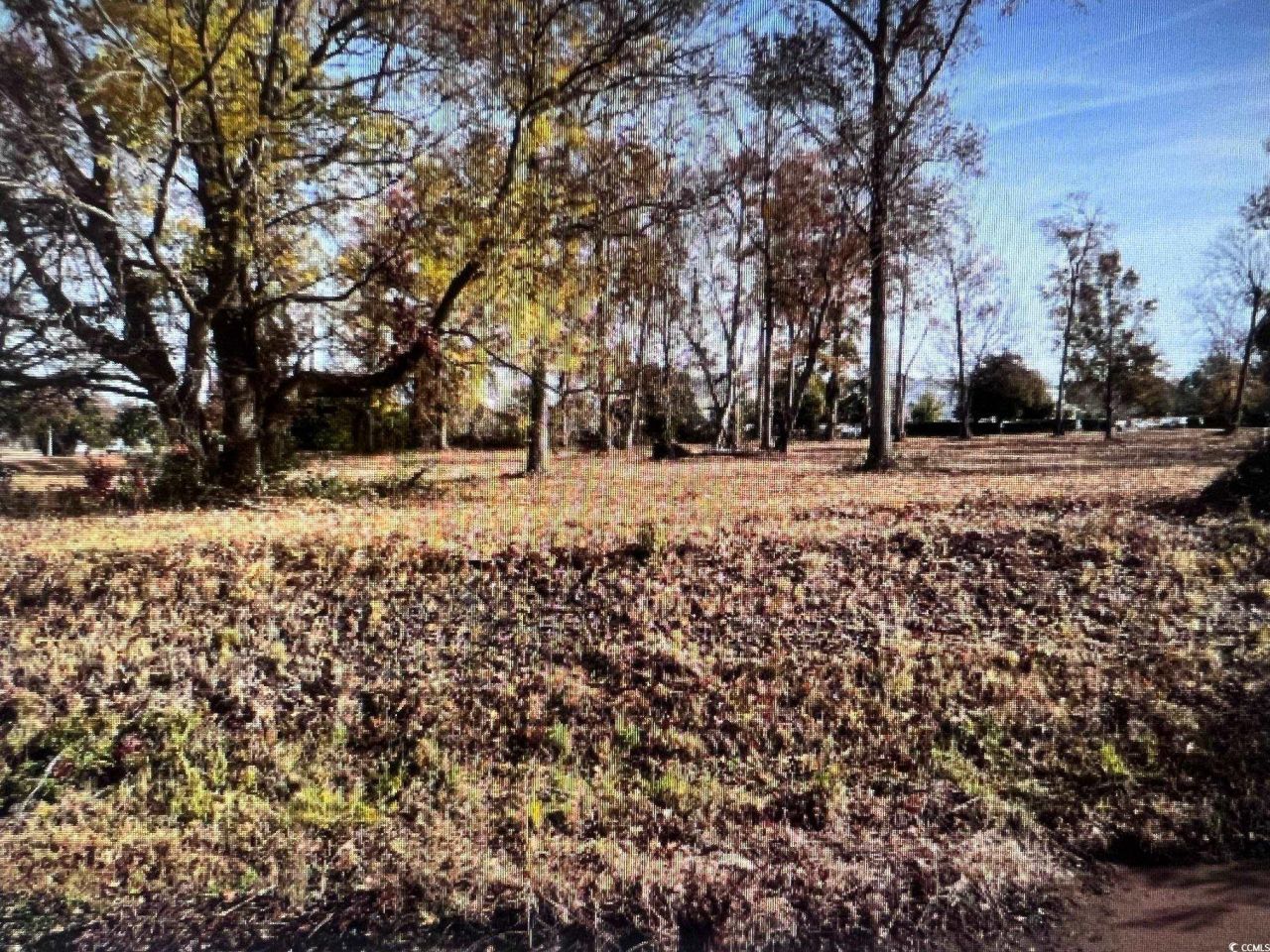 990 Robert M Grissom Pkwy. Photo 6