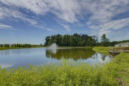 126 Ruby Prince Road photo 4