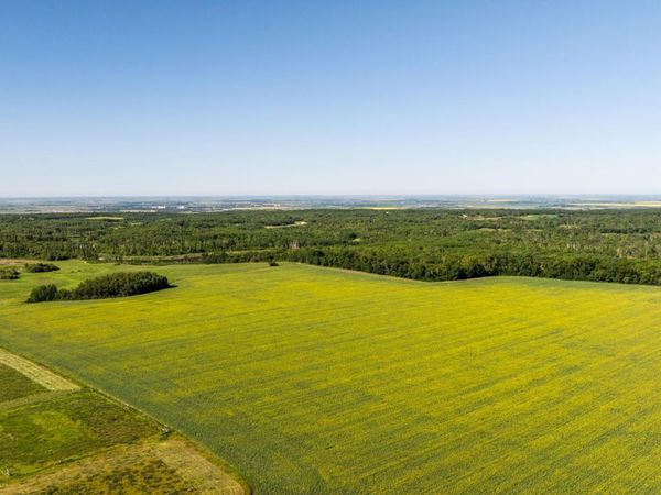 TBD Lake Road, Bottineau, ND 58318