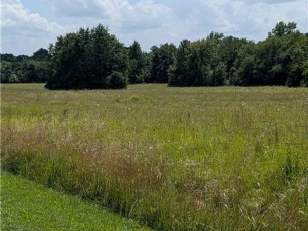 Jackson Street, El Dorado Springs, MO 64744