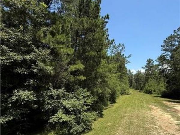 TBD LAKE CHOCTAW Road, Franklinton, LA 70438