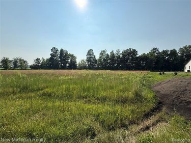 9807 Oak Ridge Road, Hazelton Twp, MI 48460