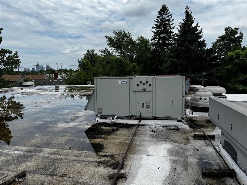 7412 Lawn Avenue, Cleveland, OH 44102 Photo 39