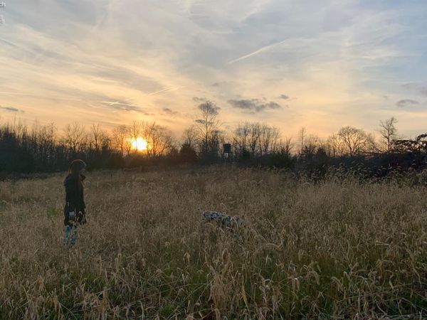 0 S Tr 173, Bloomville, OH 44818