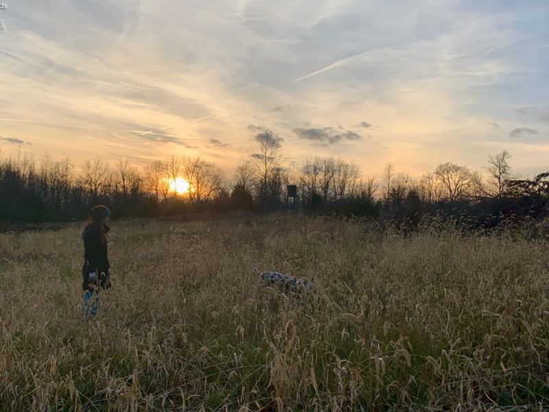 0 S Tr 173, Bloomville, OH 44818 Photo 1