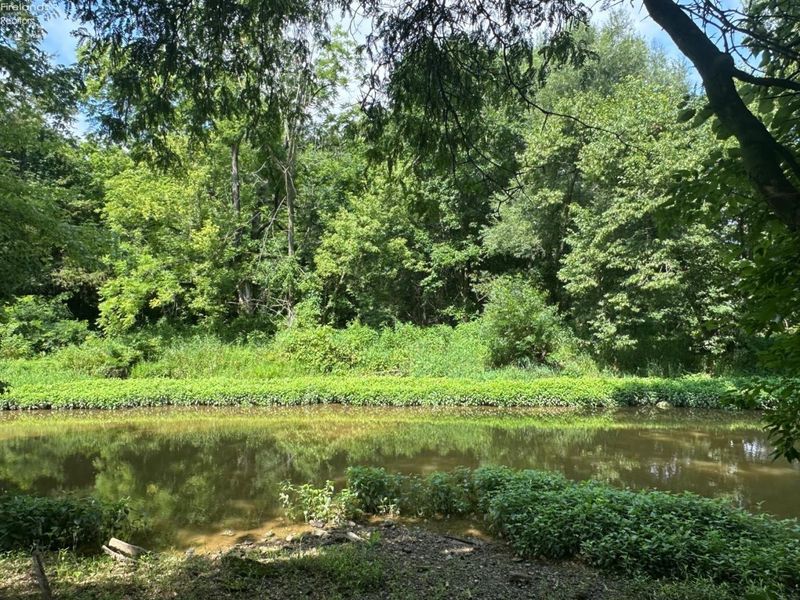 0 S Tr 173, Bloomville, OH 44818 Photo 13