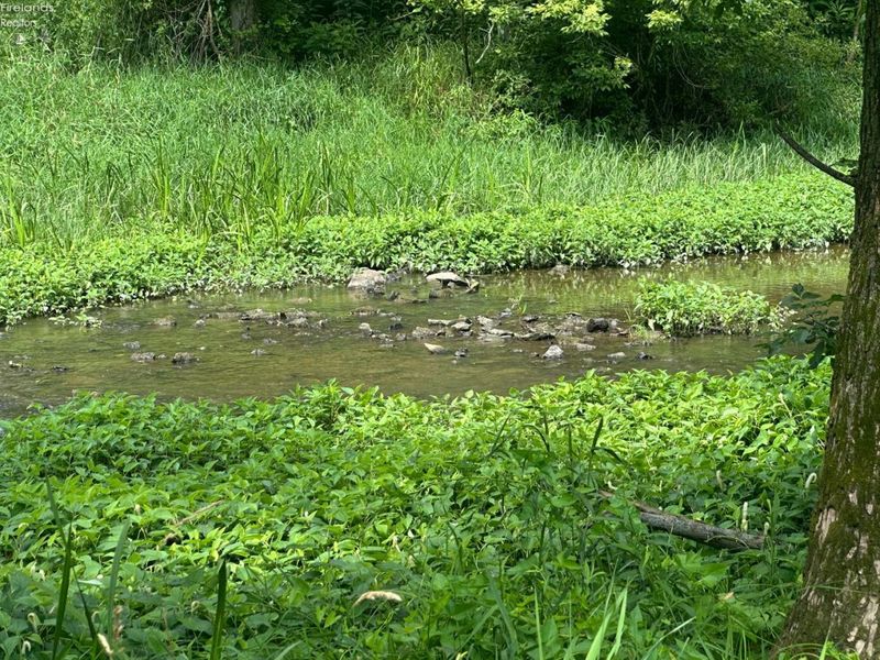 0 S Tr 173, Bloomville, OH 44818 Photo 18