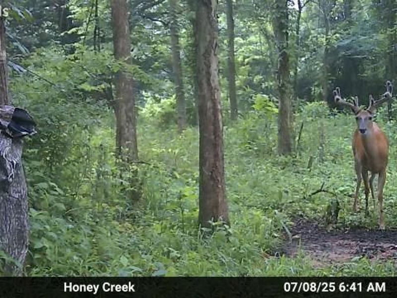 0 S Tr 173, Bloomville, OH 44818 Photo 21