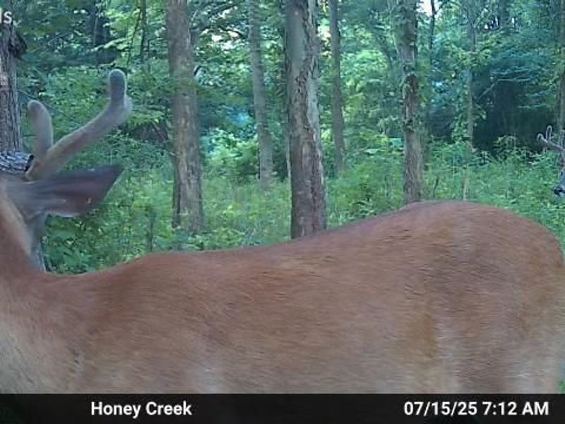 0 S Tr 173, Bloomville, OH 44818 Photo 22