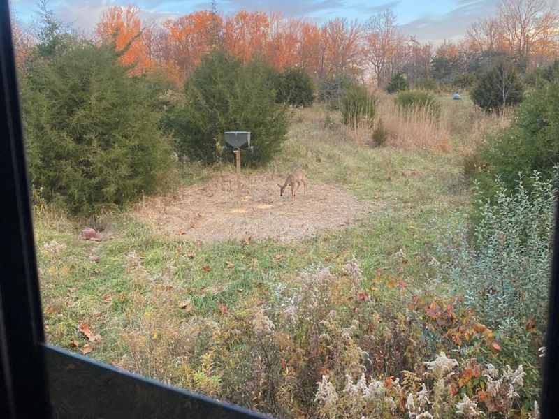 0 S Tr 173, Bloomville, OH 44818 Photo 24