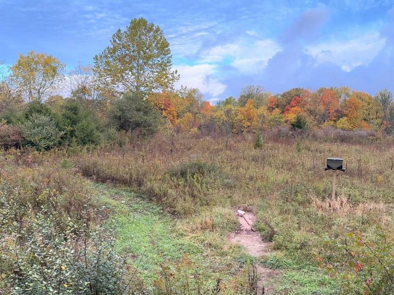 0 S Tr 173, Bloomville, OH 44818 Photo 25