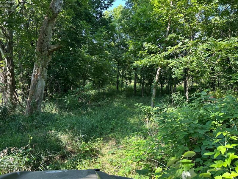 0 S Tr 173, Bloomville, OH 44818 Photo 27