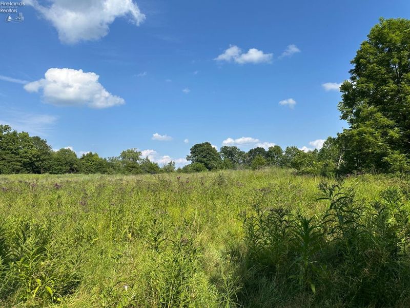 0 S Tr 173, Bloomville, OH 44818 Photo 28