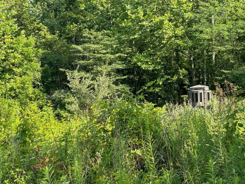 0 S Tr 173, Bloomville, OH 44818 Photo 29