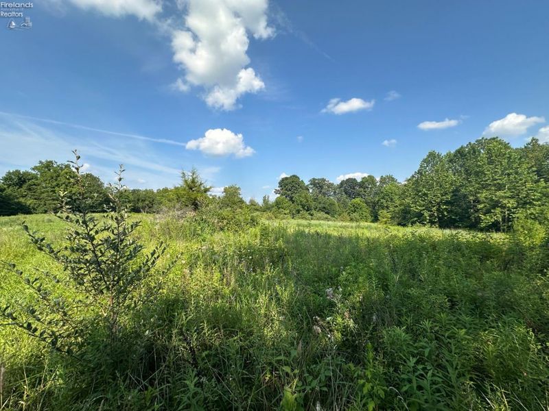 0 S Tr 173, Bloomville, OH 44818 Photo 30