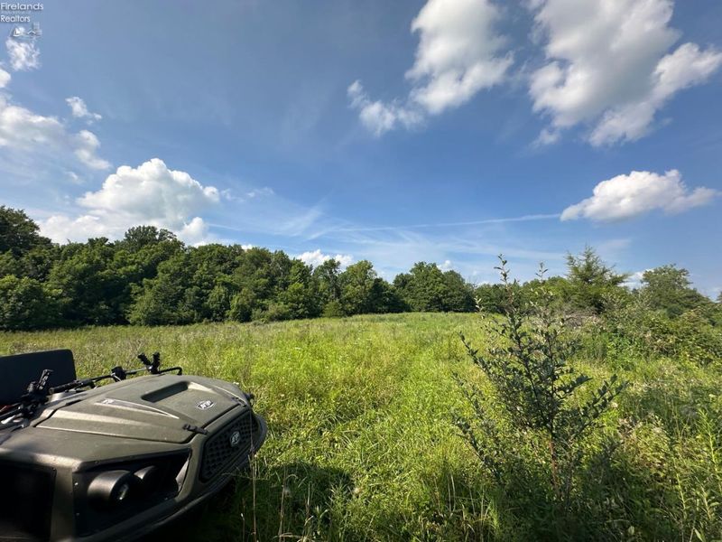 0 S Tr 173, Bloomville, OH 44818 Photo 31