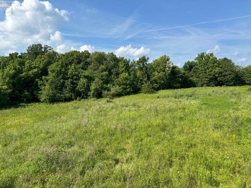0 S Tr 173, Bloomville, OH 44818 Photo 32