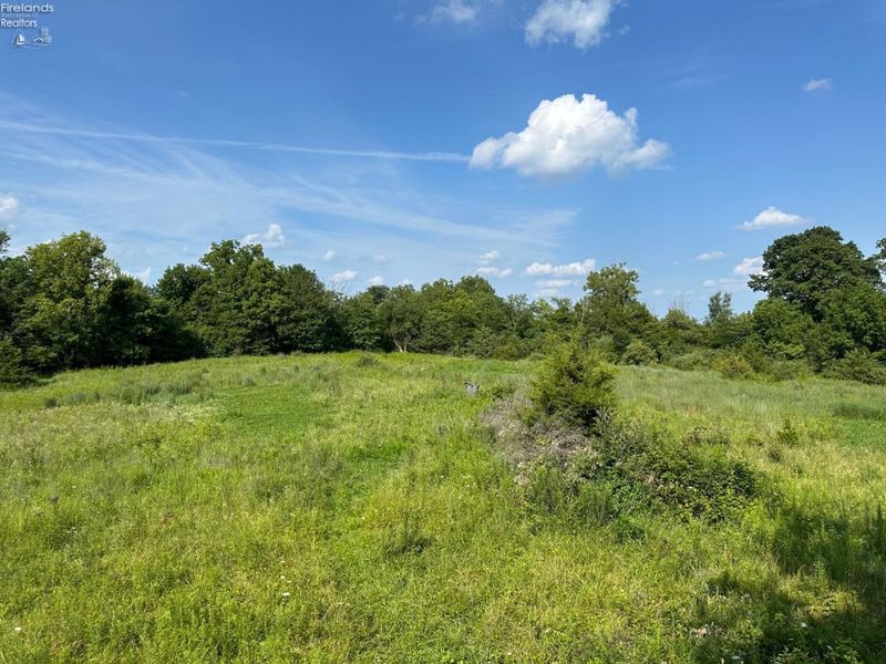 0 S Tr 173, Bloomville, OH 44818 Photo 33