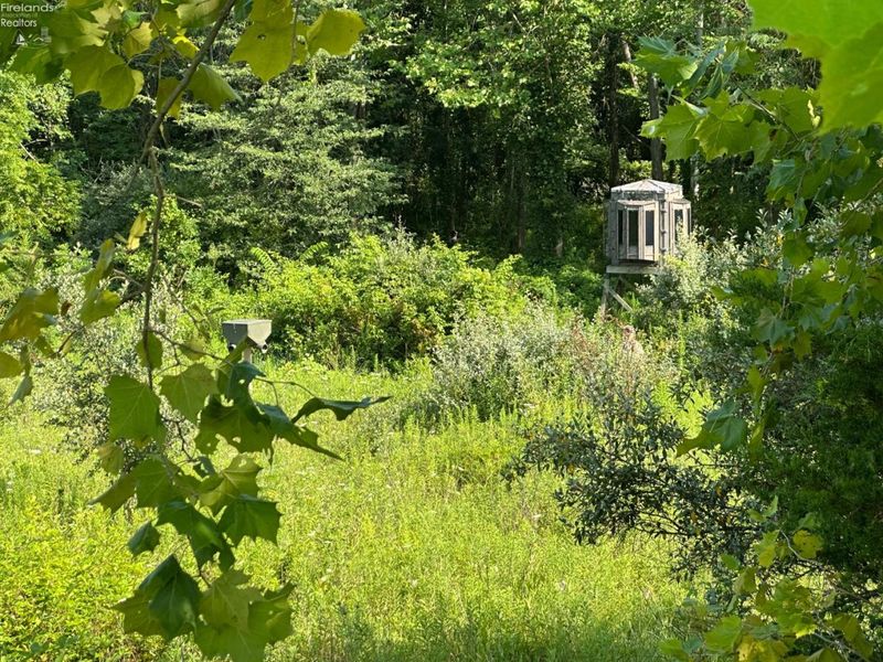 0 S Tr 173, Bloomville, OH 44818 Photo 34