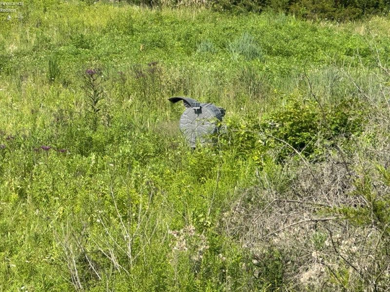 0 S Tr 173, Bloomville, OH 44818 Photo 35